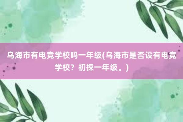 乌海市有电竞学校吗一年级(乌海市是否设有电竞学校？初探一年级。)