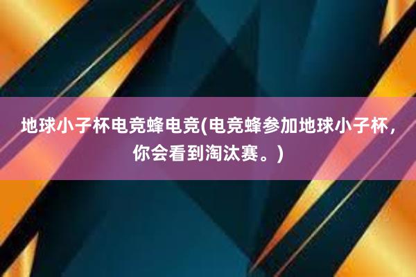 地球小子杯电竞蜂电竞(电竞蜂参加地球小子杯，你会看到淘汰赛。)