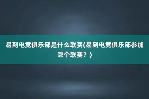 易到电竞俱乐部是什么联赛(易到电竞俱乐部参加哪个联赛？)