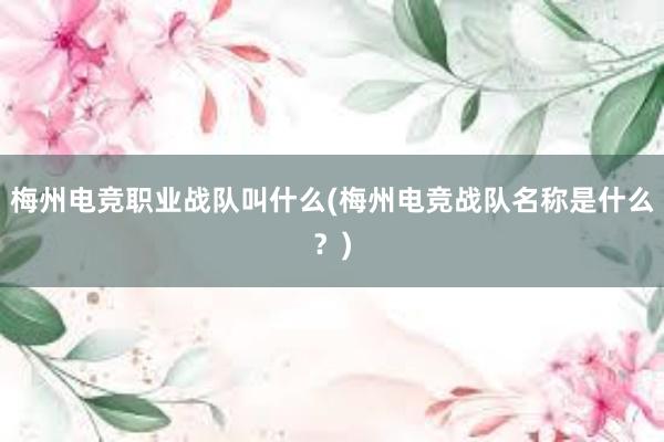 梅州电竞职业战队叫什么(梅州电竞战队名称是什么？)