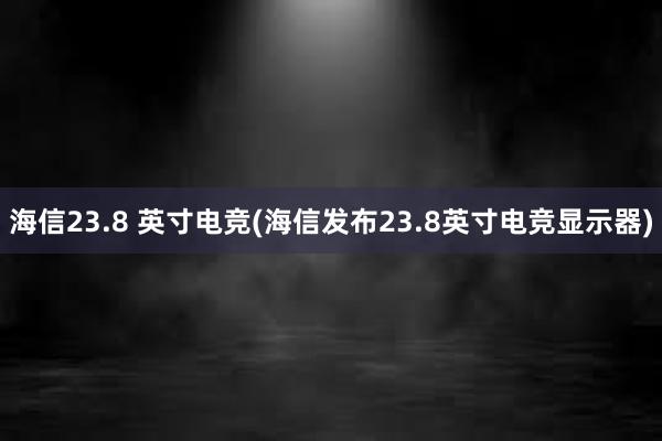 海信23.8 英寸电竞(海信发布23.8英寸电竞显示器)