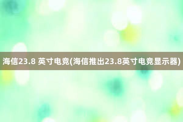 海信23.8 英寸电竞(海信推出23.8英寸电竞显示器)