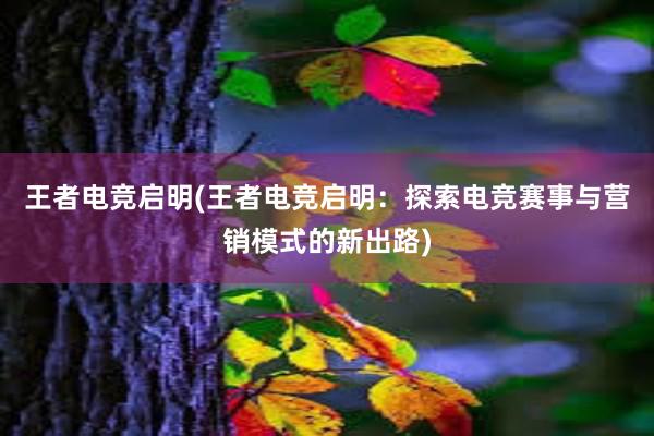 王者电竞启明(王者电竞启明：探索电竞赛事与营销模式的新出路)