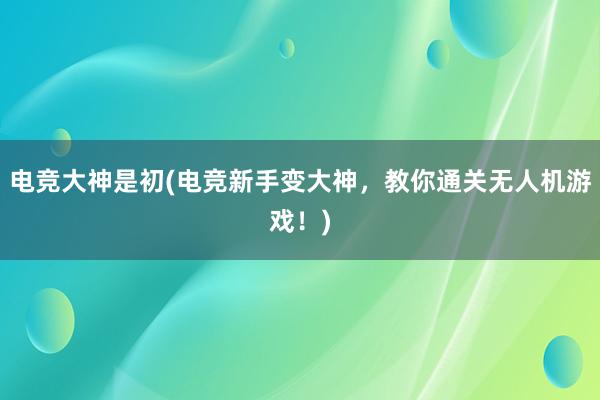 电竞大神是初(电竞新手变大神，教你通关无人机游戏！)