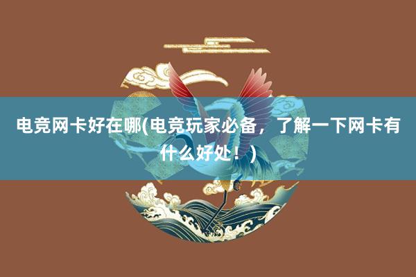 电竞网卡好在哪(电竞玩家必备，了解一下网卡有什么好处！)