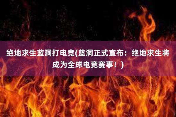 绝地求生蓝洞打电竞(蓝洞正式宣布：绝地求生将成为全球电竞赛事！)