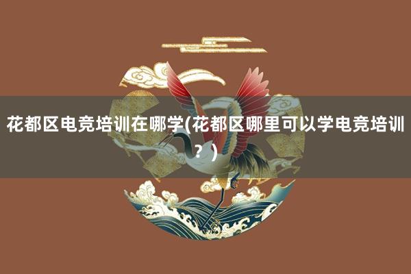 花都区电竞培训在哪学(花都区哪里可以学电竞培训？)