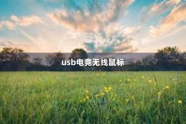 usb电竞无线鼠标