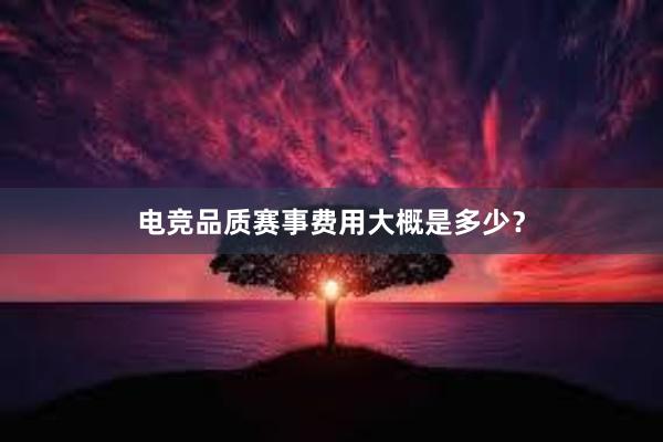 电竞品质赛事费用大概是多少？