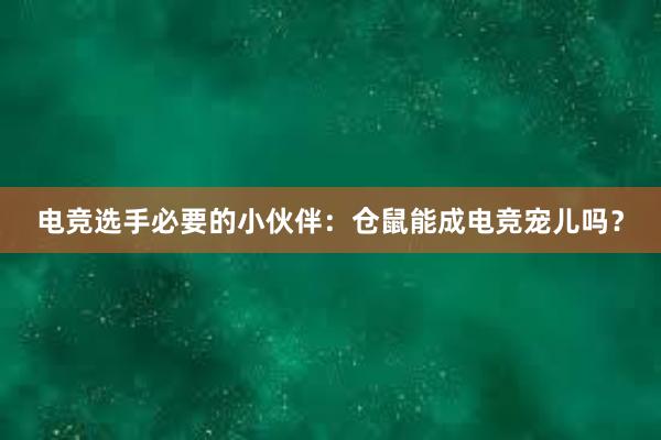 电竞选手必要的小伙伴：仓鼠能成电竞宠儿吗？