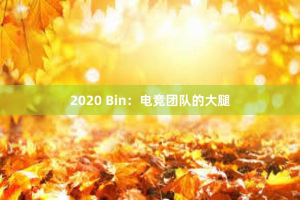 2020 Bin：电竞团队的大腿