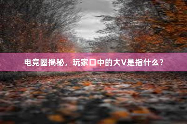 电竞圈揭秘，玩家口中的大V是指什么？