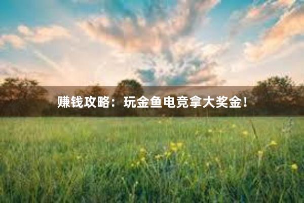 赚钱攻略：玩金鱼电竞拿大奖金！