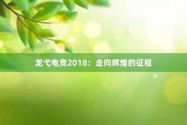 龙弋电竞2018：走向辉煌的征程