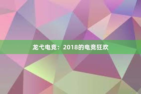 龙弋电竞：2018的电竞狂欢